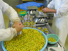 ぎんなん缶詰・パウチ