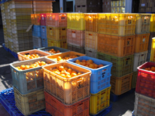 アイカンの技術