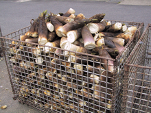 アイカンの技術